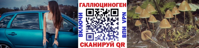 Галлюциногенные грибы Psilocybine cubensis  Купить закладки  Полярный 